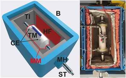 New experimental approaches enabling the continuous monitoring of gas species in hydrothermal fluids